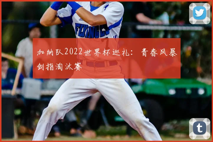 加纳队2022世界杯巡礼：青春风暴剑指淘汰赛