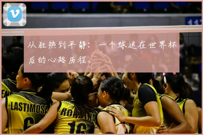从狂热到平静:一个球迷在世界杯后的心路历程。