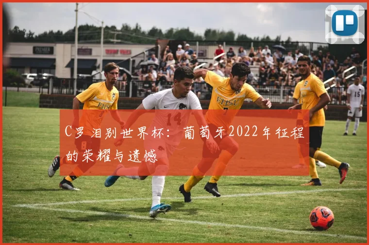 C罗泪别世界杯：葡萄牙2022年征程的荣耀与遗憾