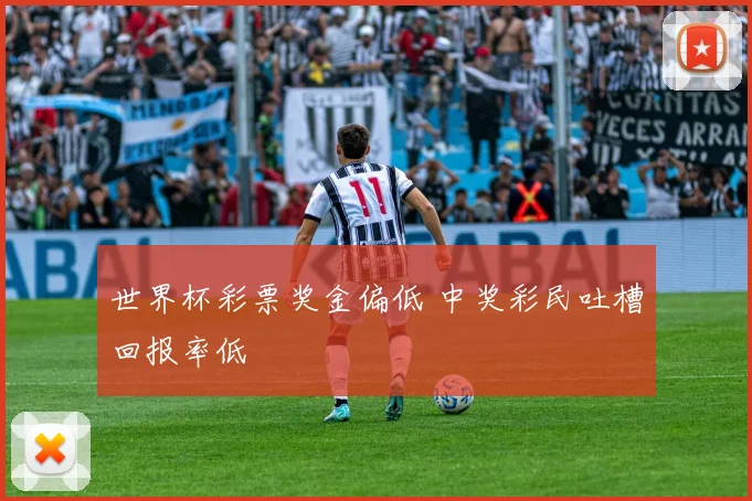 世界杯彩票奖金偏低 中奖彩民吐槽回报率低