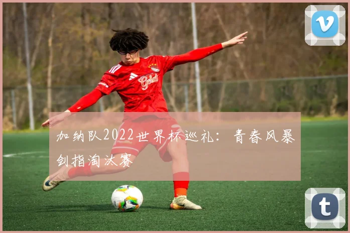 加纳队2022世界杯巡礼：青春风暴剑指淘汰赛