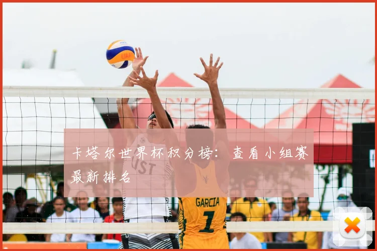 卡塔尔世界杯积分榜：查看小组赛最新排名