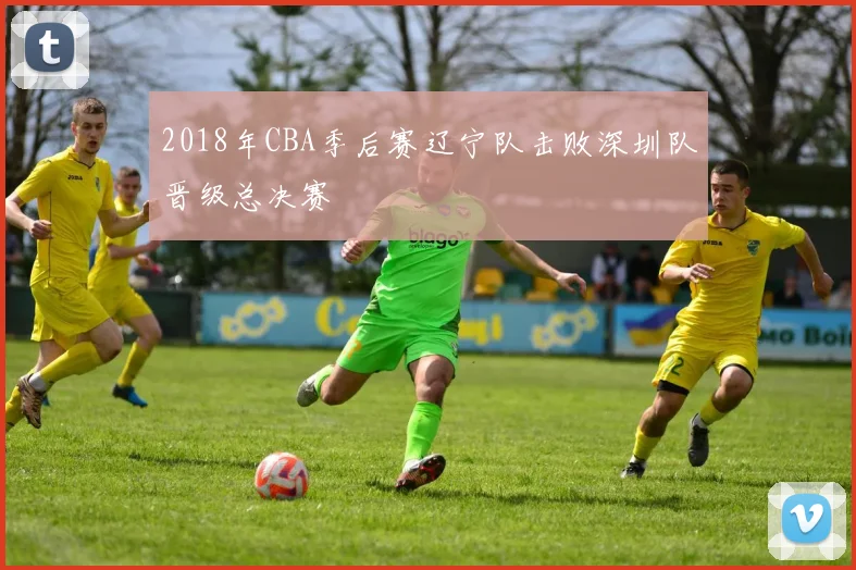 2018年CBA季后赛辽宁队击败深圳队晋级总决赛