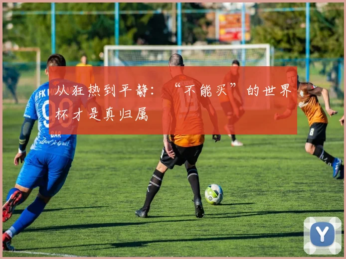 从狂热到平静:“不能买”的世界杯才是真归属