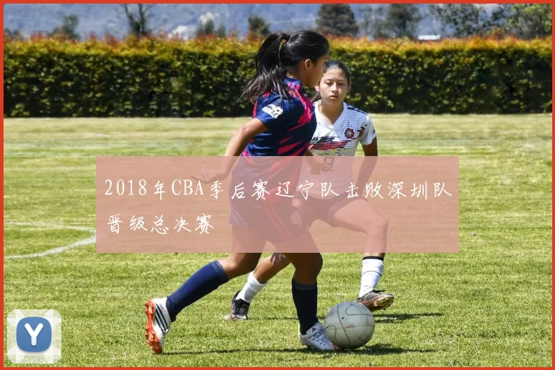 2018年CBA季后赛辽宁队击败深圳队晋级总决赛