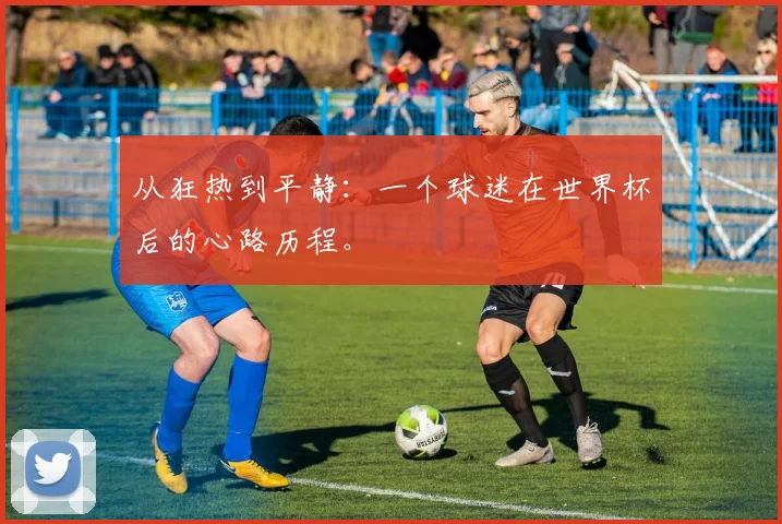 从狂热到平静：一个球迷在世界杯后的心路历程。