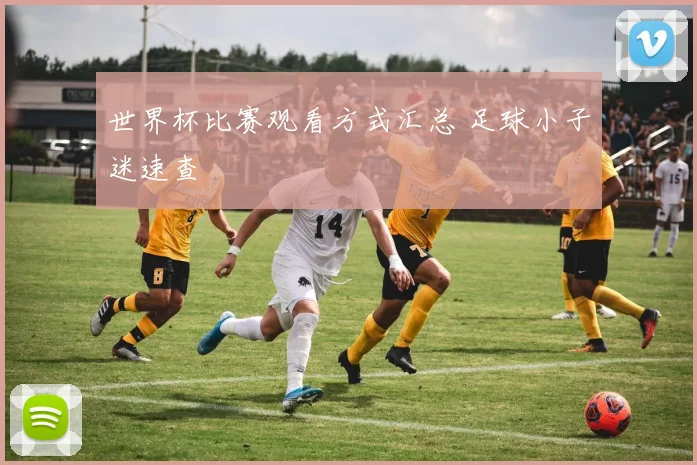 世界杯比赛观看方式汇总 足球小子迷速查